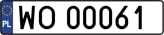 WO00061