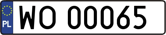 WO00065