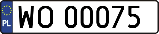 WO00075