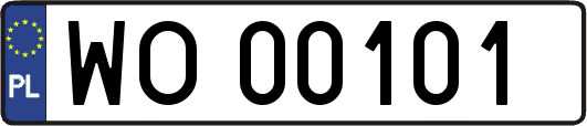 WO00101