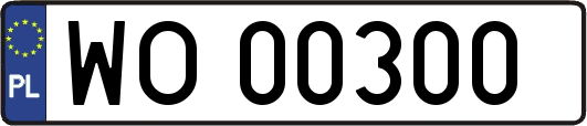 WO00300