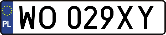 WO029XY