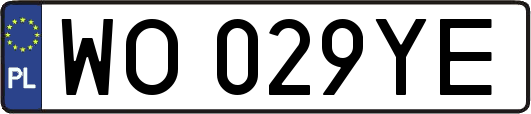 WO029YE