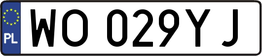 WO029YJ