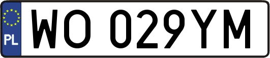 WO029YM