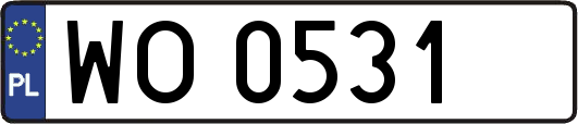 WO0531