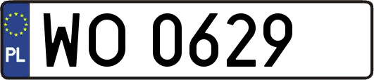 WO0629