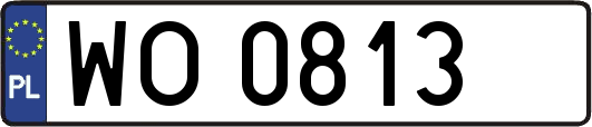 WO0813