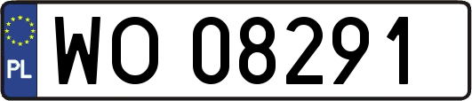 WO08291