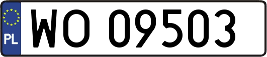 WO09503