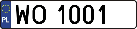 WO1001