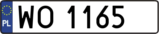 WO1165