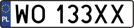 WO133XX