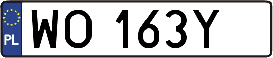 WO163Y