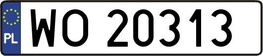 WO20313