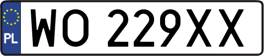 WO229XX