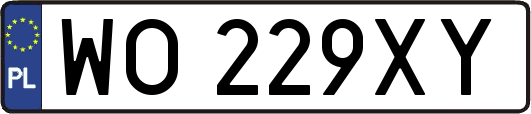 WO229XY