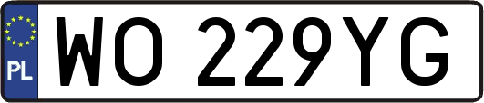WO229YG