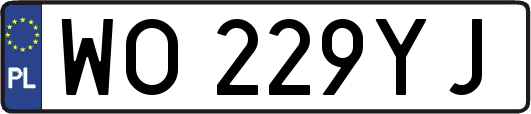 WO229YJ