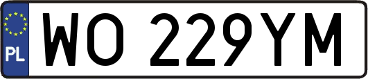 WO229YM