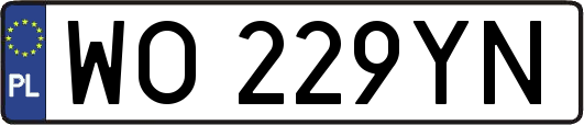 WO229YN