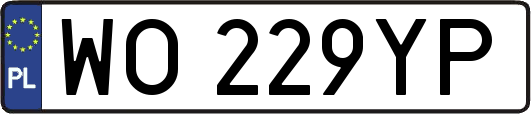 WO229YP