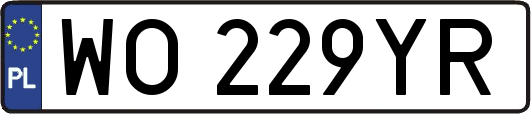 WO229YR