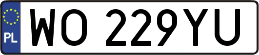 WO229YU