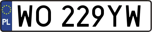 WO229YW