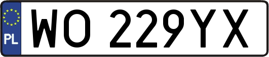 WO229YX
