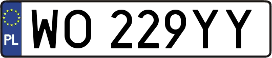 WO229YY