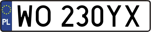 WO230YX