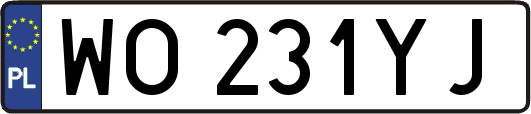 WO231YJ
