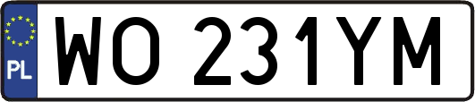 WO231YM