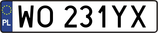 WO231YX