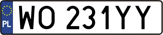 WO231YY