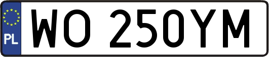 WO250YM