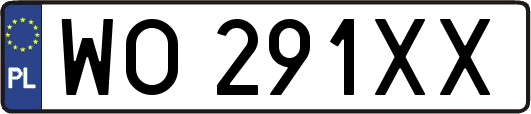 WO291XX