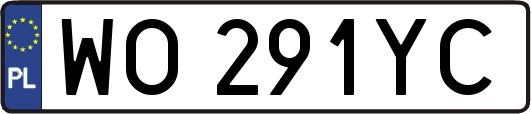 WO291YC
