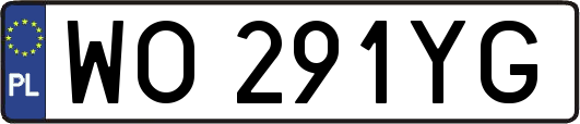WO291YG