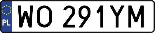 WO291YM