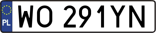 WO291YN