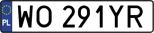 WO291YR