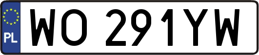 WO291YW