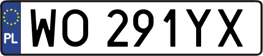 WO291YX