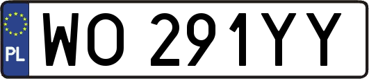 WO291YY