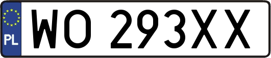 WO293XX