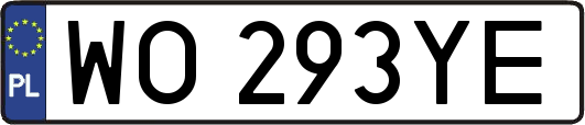 WO293YE