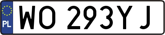 WO293YJ