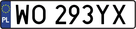 WO293YX